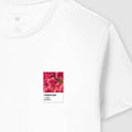 Camiseta Pampatone - Ipê Rosa